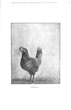 40875_OBJ-Thumbnail Image.jpg