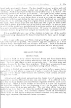 40918_OBJ-Thumbnail Image.jpg