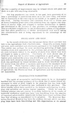 40951_OBJ-Thumbnail Image.jpg
