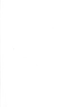 40966_OBJ-Thumbnail Image.jpg
