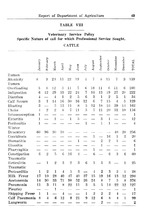 40990_OBJ-Thumbnail Image.jpg