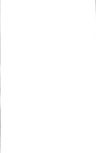 41041_OBJ-Thumbnail Image.jpg