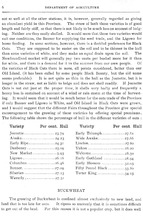 41092_OBJ-Thumbnail Image.jpg
