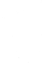41194_OBJ-Thumbnail Image.jpg