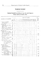 41285_OBJ-Thumbnail Image.jpg