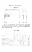 41291_OBJ-Thumbnail Image.jpg