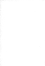 41295_OBJ-Thumbnail Image.jpg