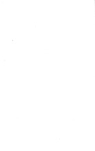41428_OBJ-Thumbnail Image.jpg