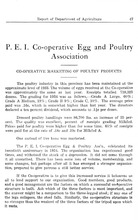 41451_OBJ-Thumbnail Image.jpg