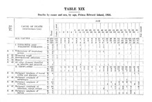 41549_OBJ-Thumbnail Image.jpg