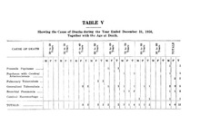 41563_OBJ-Thumbnail Image.jpg