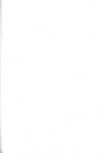 41572_OBJ-Thumbnail Image.jpg