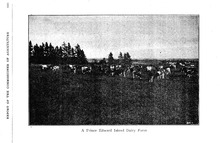 41675_OBJ-Thumbnail Image.jpg