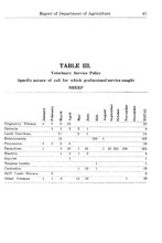 41689_OBJ-Thumbnail Image.jpg