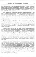 41751_OBJ-Thumbnail Image.jpg