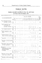 4185_OBJ-Thumbnail Image.jpg