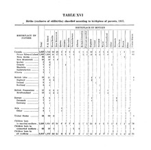 41880_OBJ-Thumbnail Image.jpg