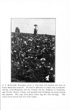 41984_OBJ-Thumbnail Image.jpg