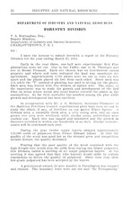 41991_OBJ-Thumbnail Image.jpg