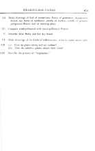 42147_OBJ-Thumbnail Image.jpg