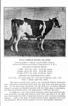 42255_OBJ-Thumbnail Image.jpg