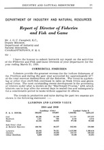 42410_OBJ-Thumbnail Image.jpg
