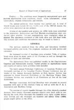 42427_OBJ-Thumbnail Image.jpg