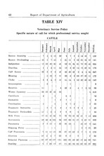 42537_OBJ-Thumbnail Image.jpg