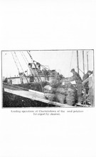 42569_OBJ-Thumbnail Image.jpg