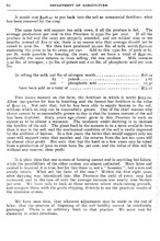 42724_OBJ-Thumbnail Image.jpg