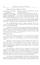 42786_OBJ-Thumbnail Image.jpg