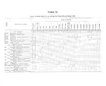 42974_OBJ-Thumbnail Image.jpg