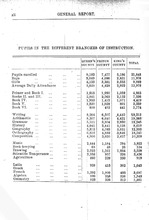 43165_OBJ-Thumbnail Image.jpg