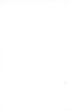 43282_OBJ-Thumbnail Image.jpg