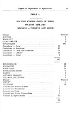 43342_OBJ-Thumbnail Image.jpg