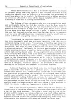 43480_OBJ-Thumbnail Image.jpg
