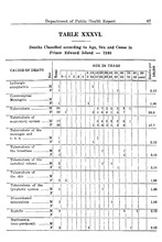 43499_OBJ-Thumbnail Image.jpg