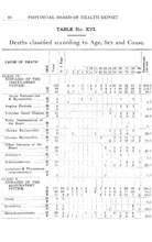 4360_OBJ-Thumbnail Image.jpg