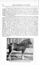 43649_OBJ-Thumbnail Image.jpg