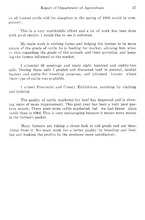 43720_OBJ-Thumbnail Image.jpg