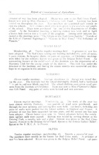 43727_OBJ-Thumbnail Image.jpg
