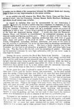 43915_OBJ-Thumbnail Image.jpg