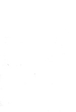 43956_OBJ-Thumbnail Image.jpg