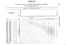 44046_OBJ-Thumbnail Image.jpg