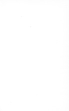 44067_OBJ-Thumbnail Image.jpg