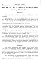 44214_OBJ-Thumbnail Image.jpg