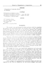 44253_OBJ-Thumbnail Image.jpg