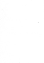 44272_OBJ-Thumbnail Image.jpg
