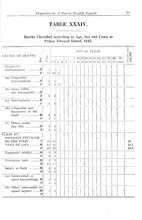 44288_OBJ-Thumbnail Image.jpg