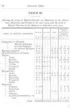44436_OBJ-Thumbnail Image.jpg